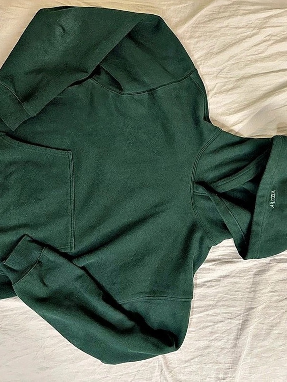 Men’s Aritzia Cozy Sweatfleece Perfect Hoodie - Green